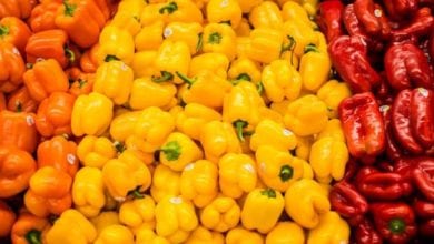 One fifth of European food and drink launches featured a texture descriptor