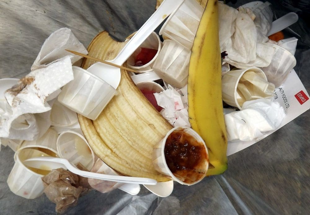 Food Waste