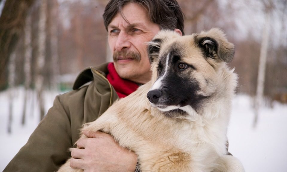 Cafe that offers food and drink for both dogs and humans opened