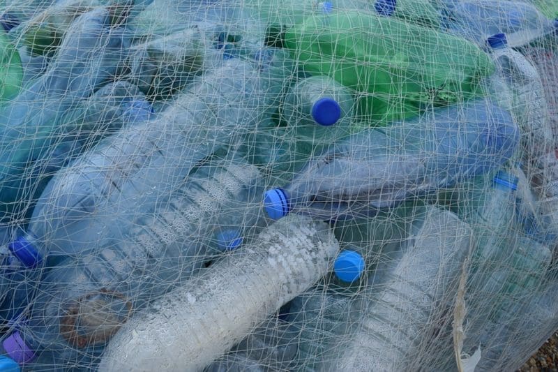 Local scientist launches first plastic-free supermarket