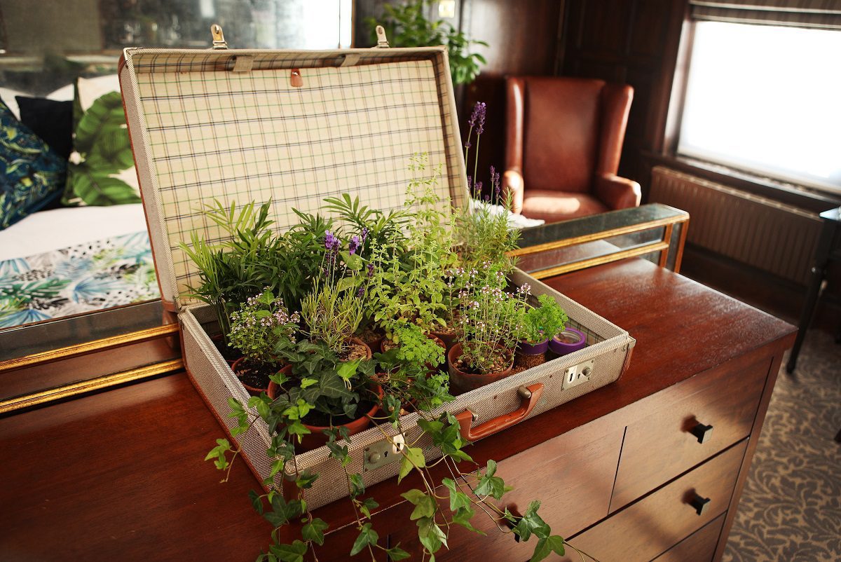 Hotel du Vin creates new gin suites with Slingsby Gin