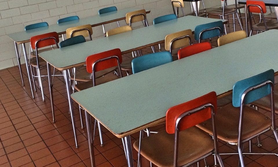Food awareness organisation calls for ‘major shake up’ to school meals