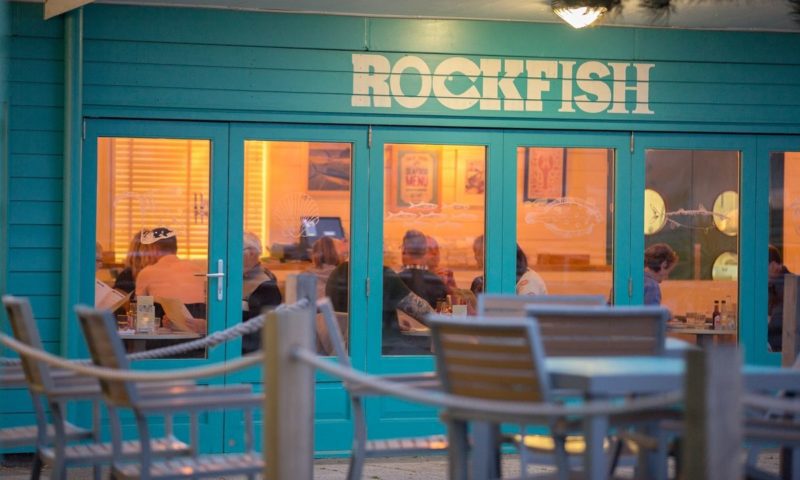 Rockfish plans expansion amid strong sales growth