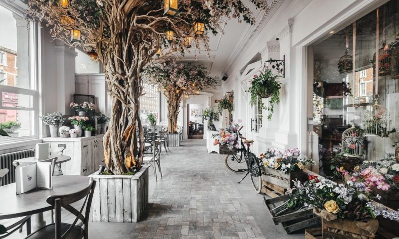 New World Trading Company secures £5.6m investment