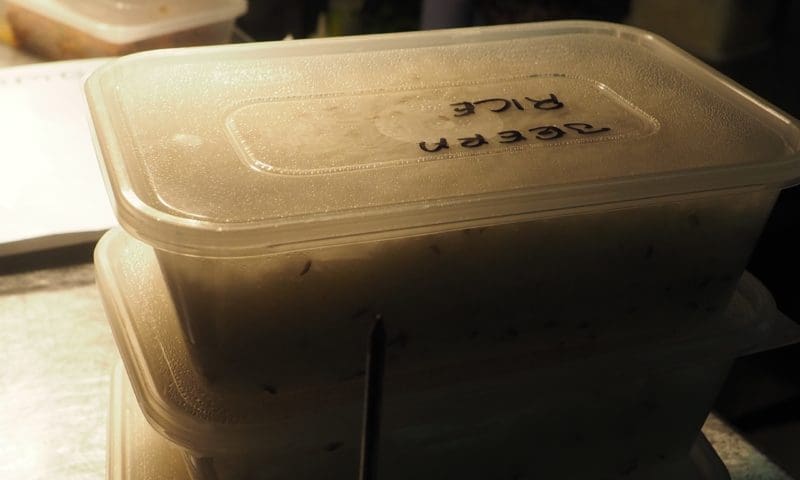 Food-to-go market growing three times as fast as on-premise spend
