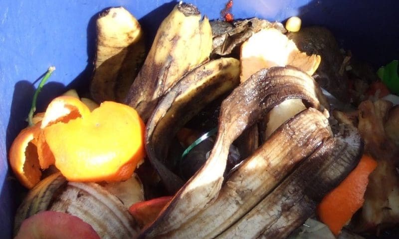 Government invests £15m into reducing food waste