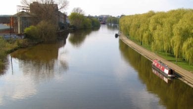 Carlsberg pollution leads to restorative charity donations