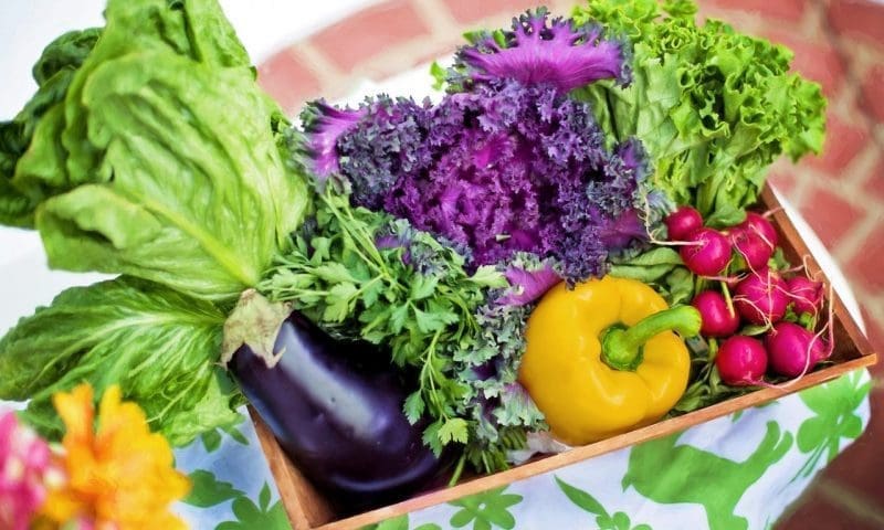 Over a third of F&B businesses impacted by plant-based trend