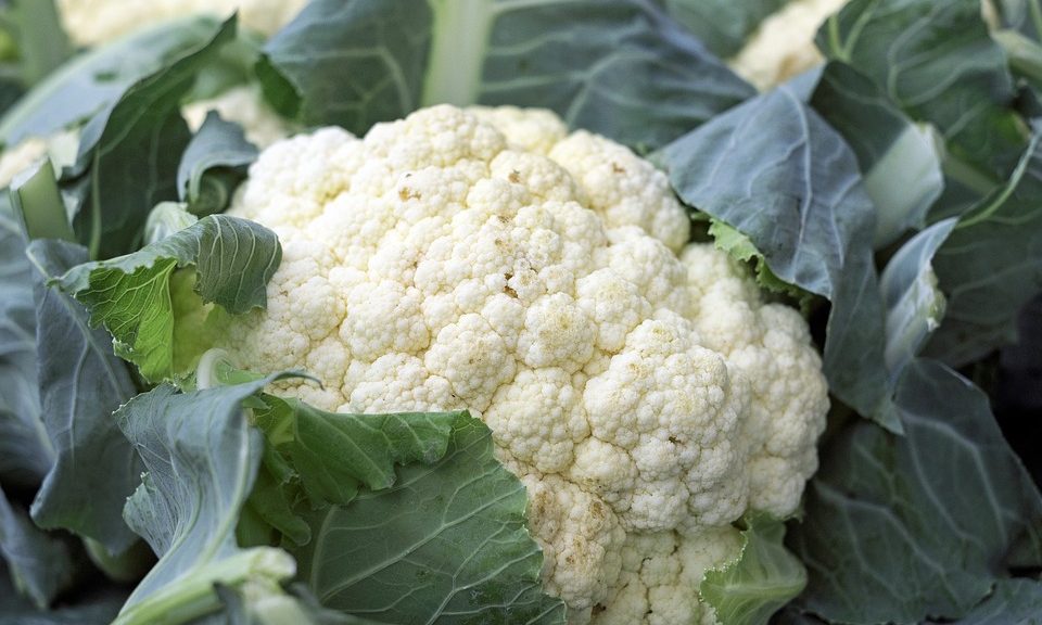 Pub chain Young’s removes £28 cauliflower steaks following backlash