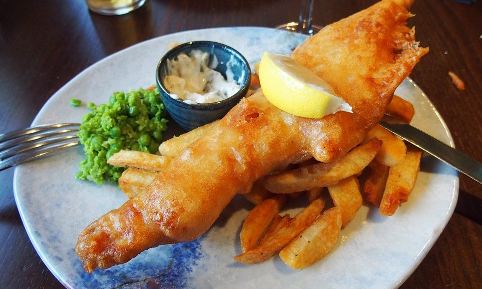 British fish shops found ‘selling endangered species of shark’