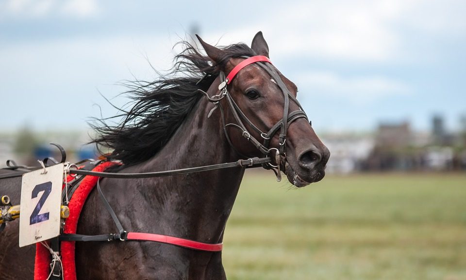 Heritage Portfolio on the menu at Perth Racecourse from 2019