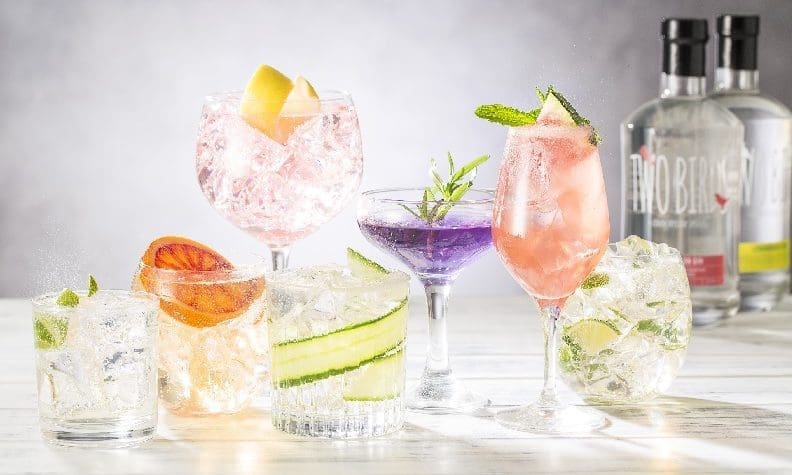Two Birds Spirits distillery launches infused gins and summer serves