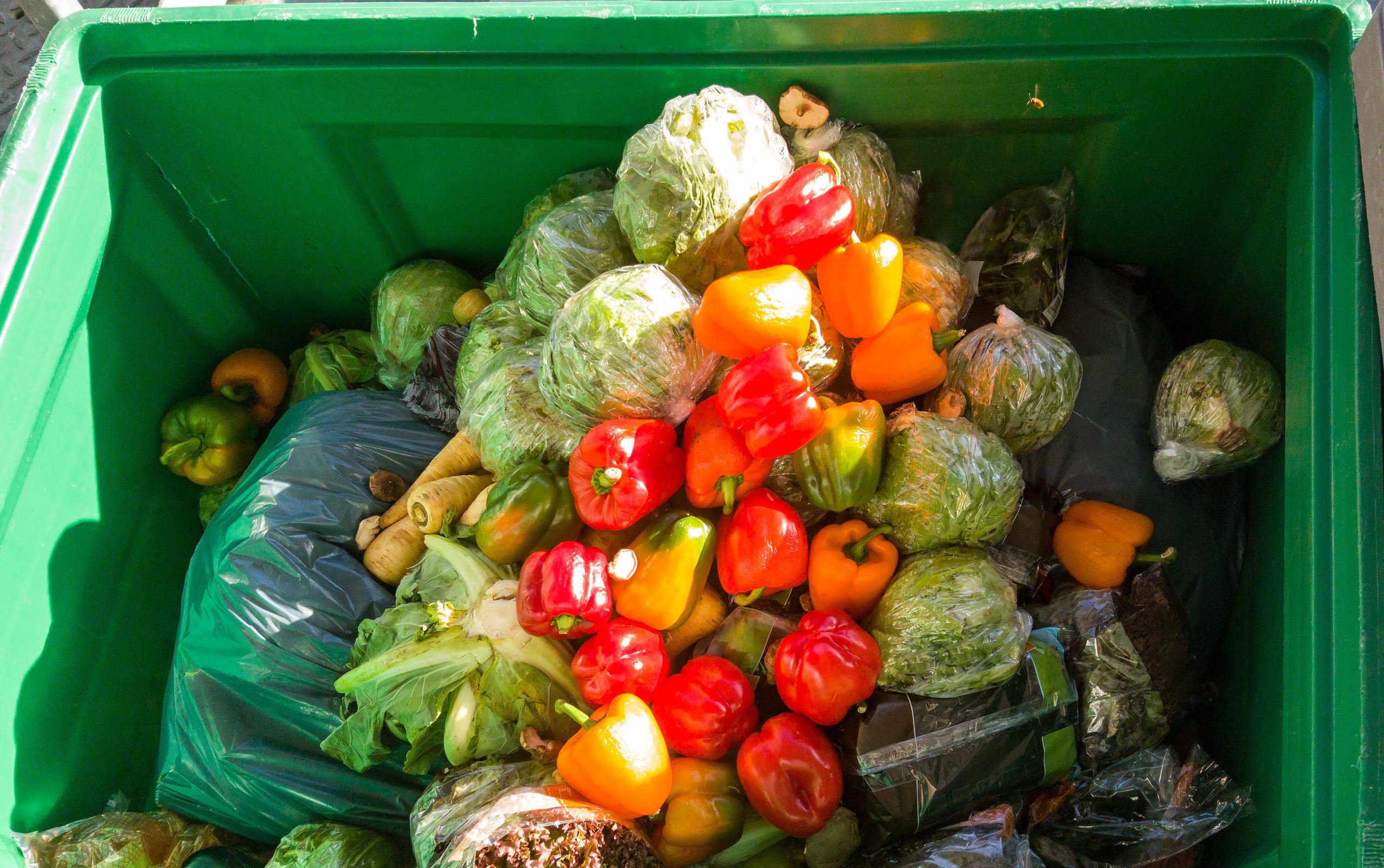 Food waste leaves a bad taste: how kitchen technology saves thousands of pounds worth of waste