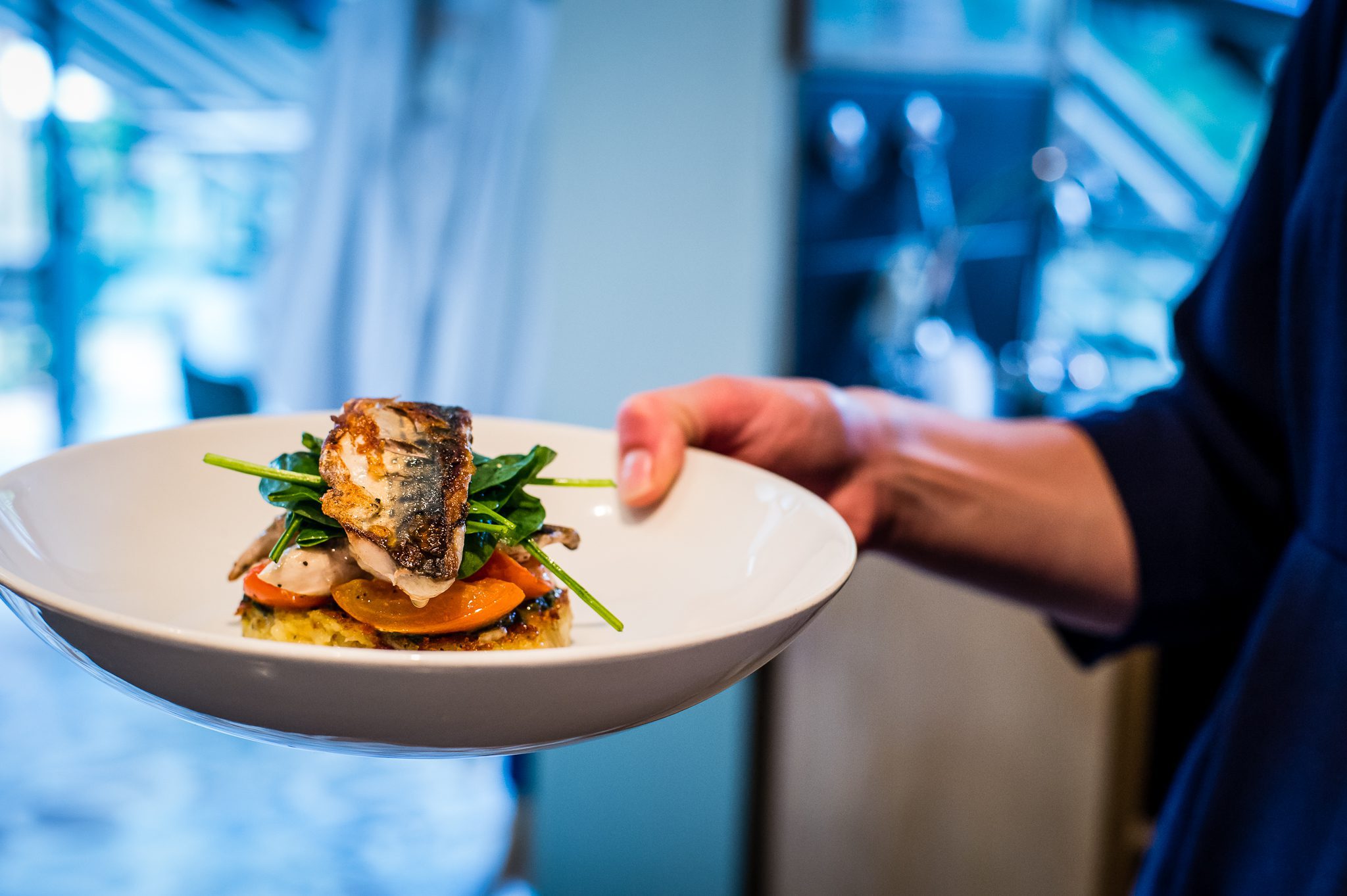 Lussmanns Sustainable Fish and Grill opens sixth site