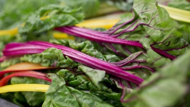The 2020 trends that caterers should add to their menus 