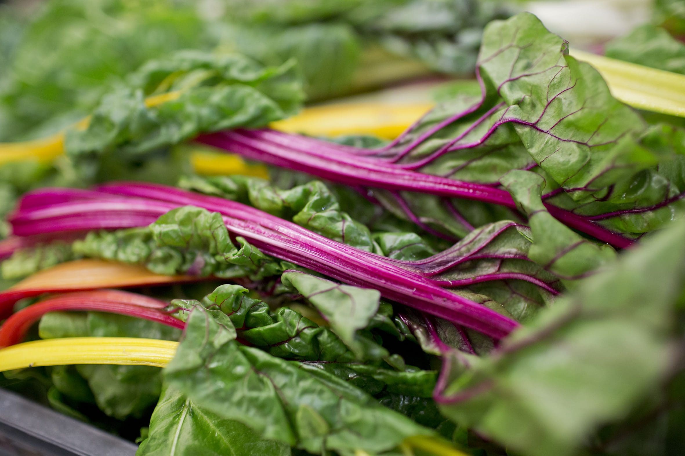 The 2020 trends that caterers should add to their menus 