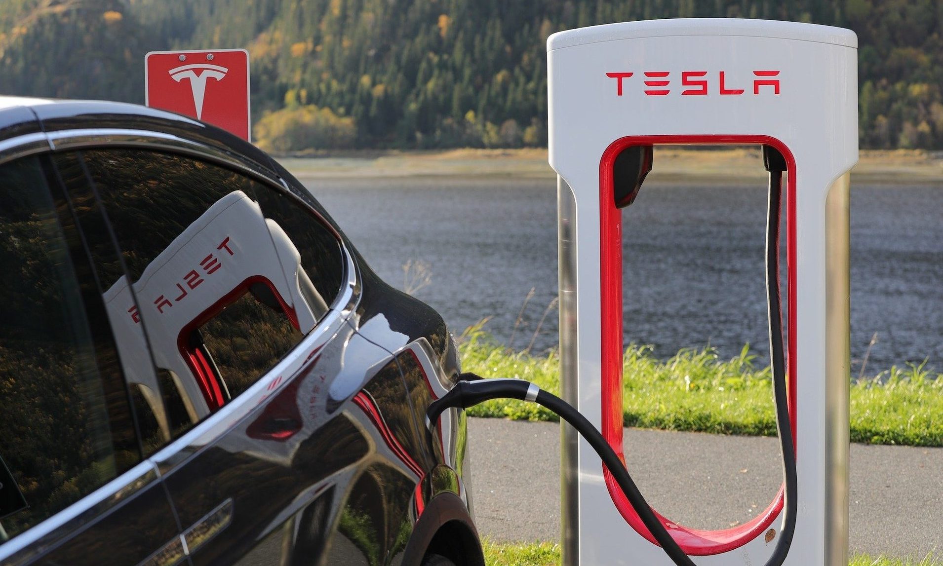 Tesla, Macy’s and organic food: serious change is afoot