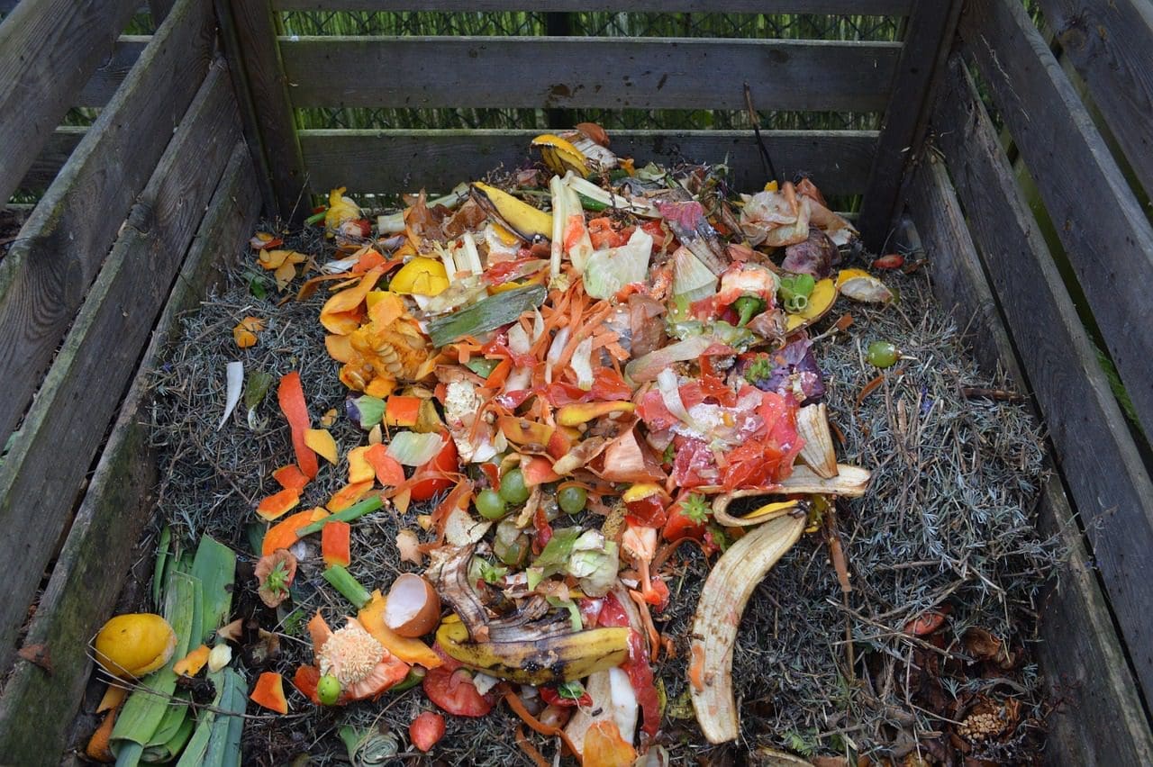 Waste reduced food life cycle