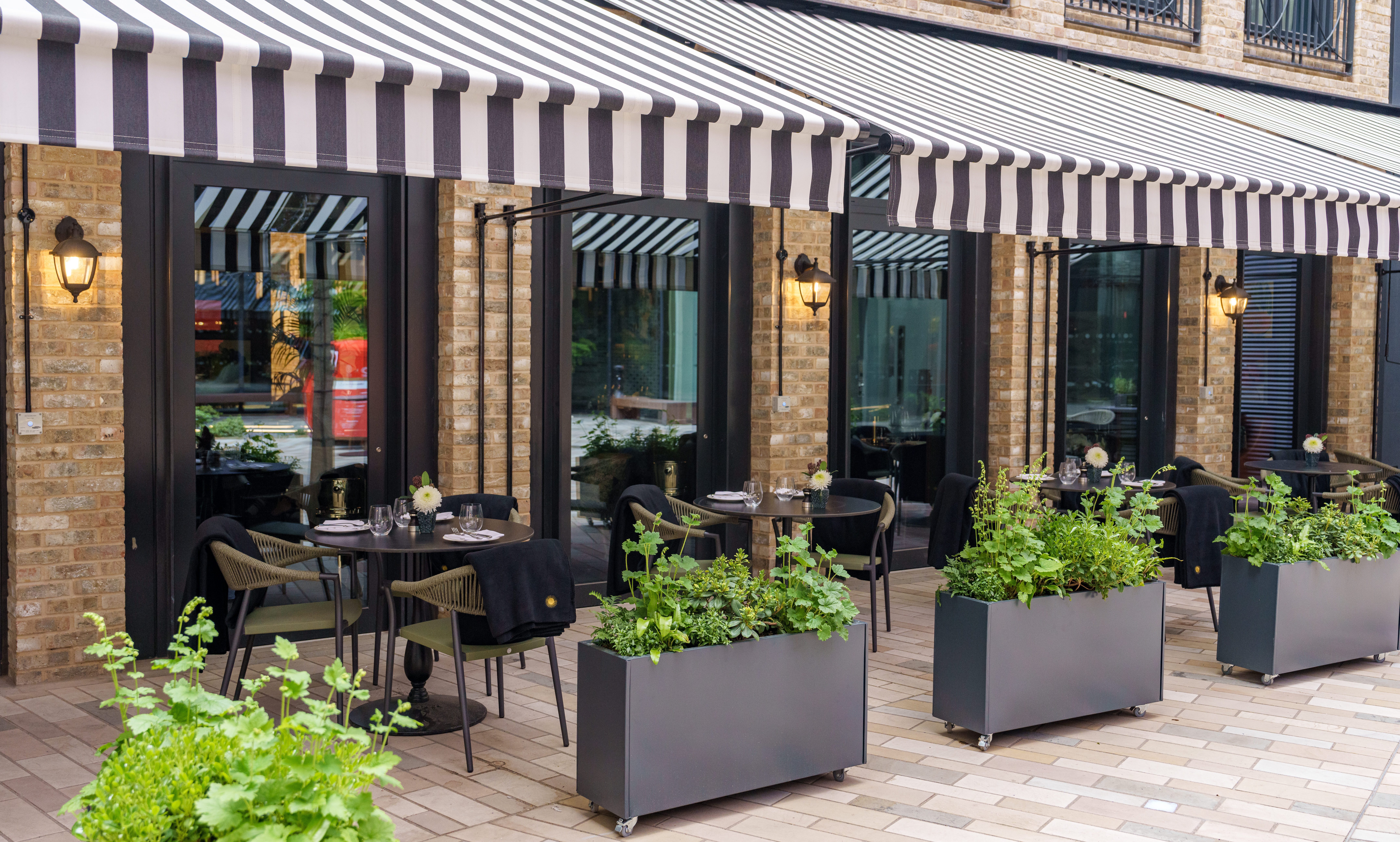 Quercus to open in London