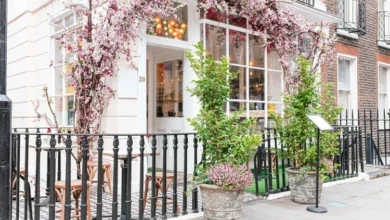 Daisy Green FY revenues rise 19% amid portfolio expansion