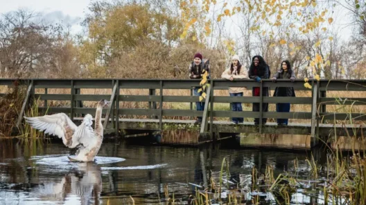 Elior UK appointed catering partner for WWT London Wetland Centre